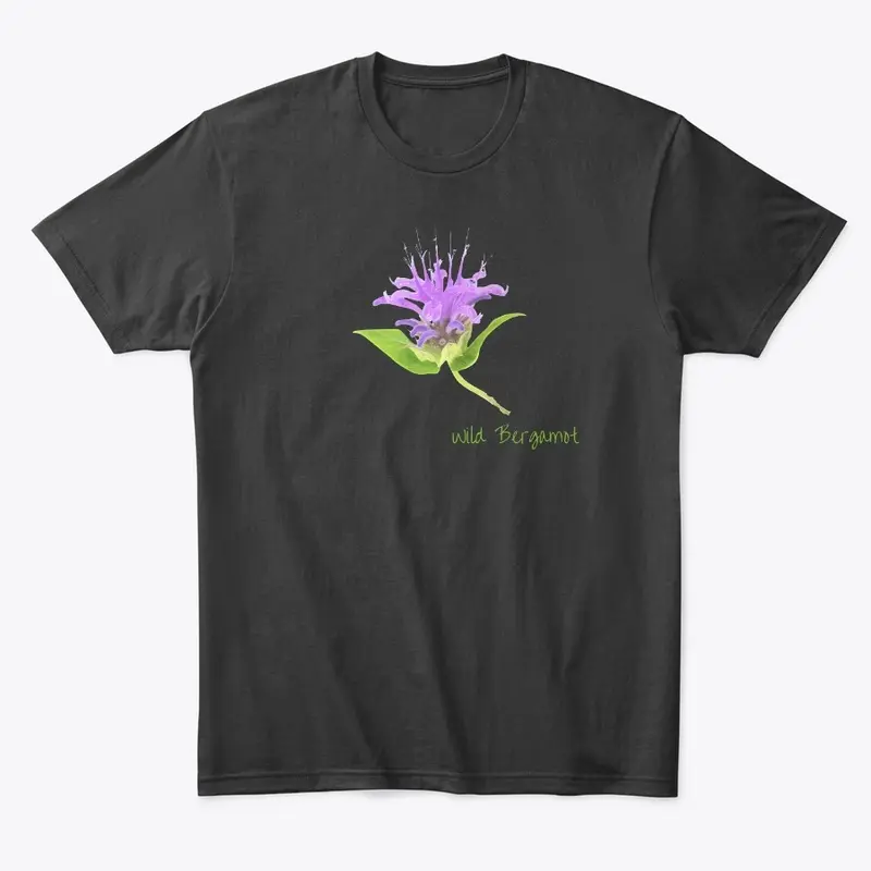 Wild Bergamot Flower